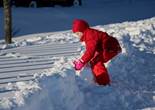 IMG_4562 (1280x853).jpg (62171 bytes)